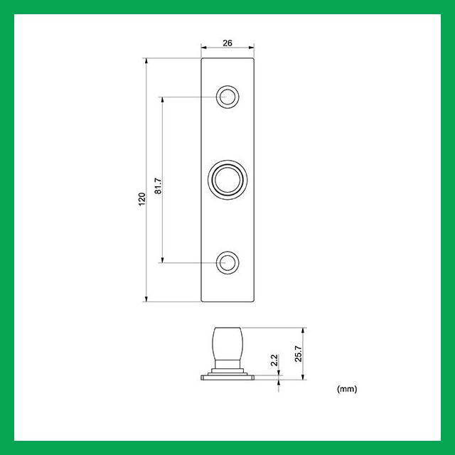 Thông số kỹ thuật Phụ kiện bản lề sàn 01