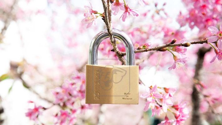 Khóa Treo Thân Đồng HC Huy Hoàng