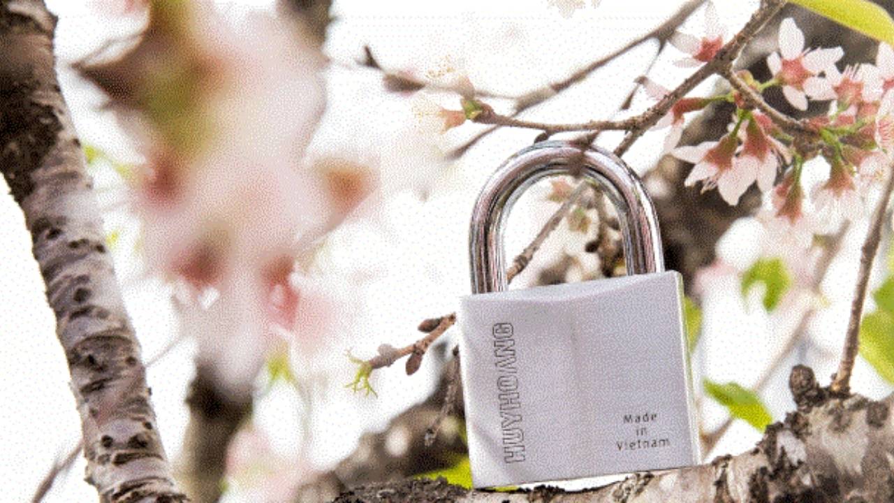 Khóa Truyền Thống Huy Hoàng